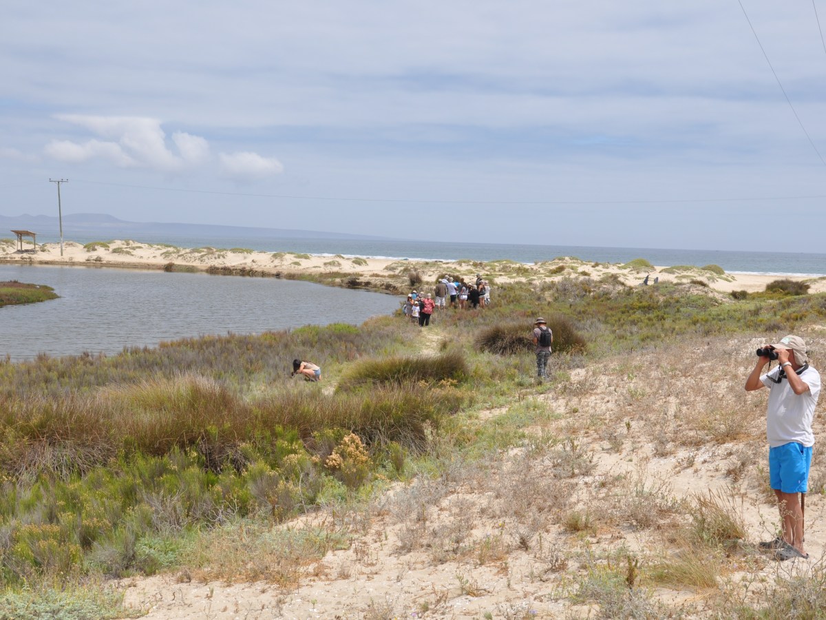 Recorre humedales y observa su biodiversidad